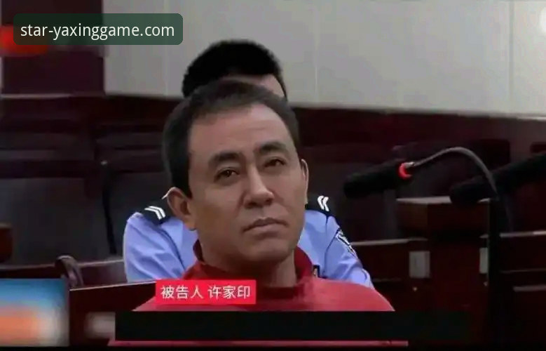 从恒大帝国到法庭被告：许家印案与“金元模式”的全面解析